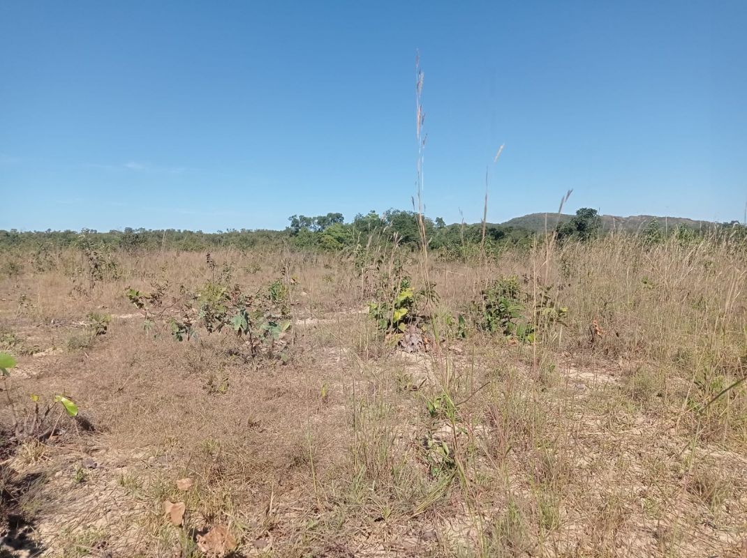 Fazenda à venda - Foto 16