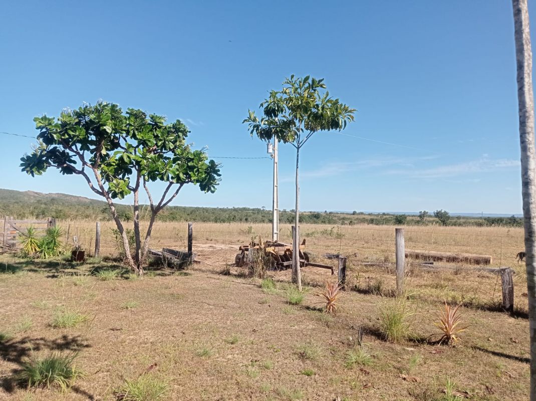 Fazenda à venda - Foto 13