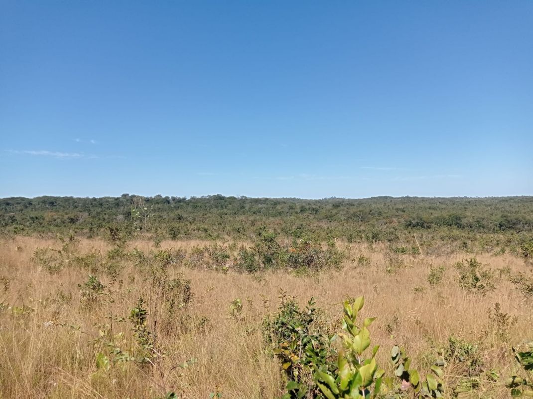 Fazenda à venda - Foto 37