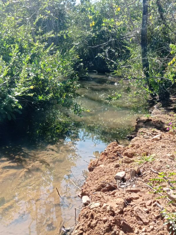 Fazenda à venda - Foto 2