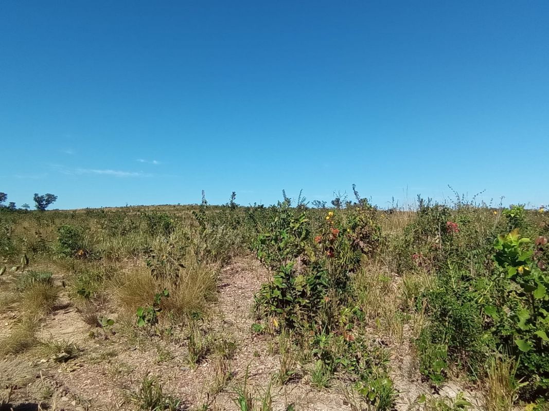 Fazenda à venda - Foto 9