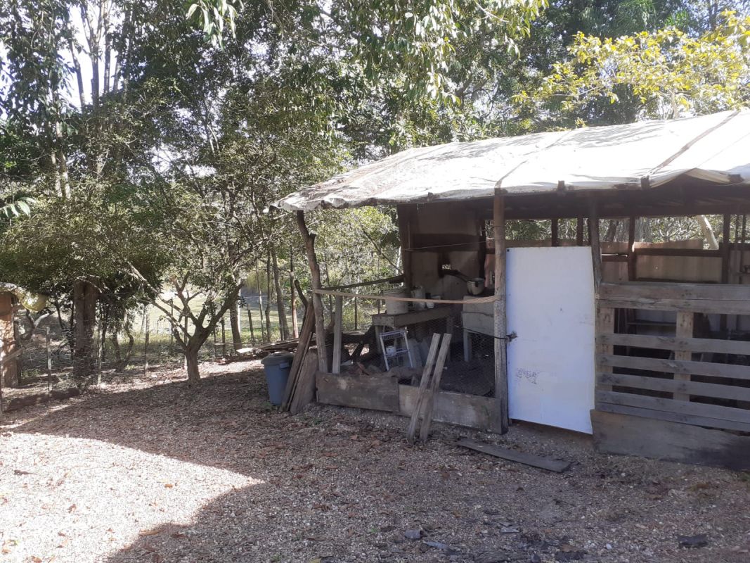 Sítio à venda - Foto 10