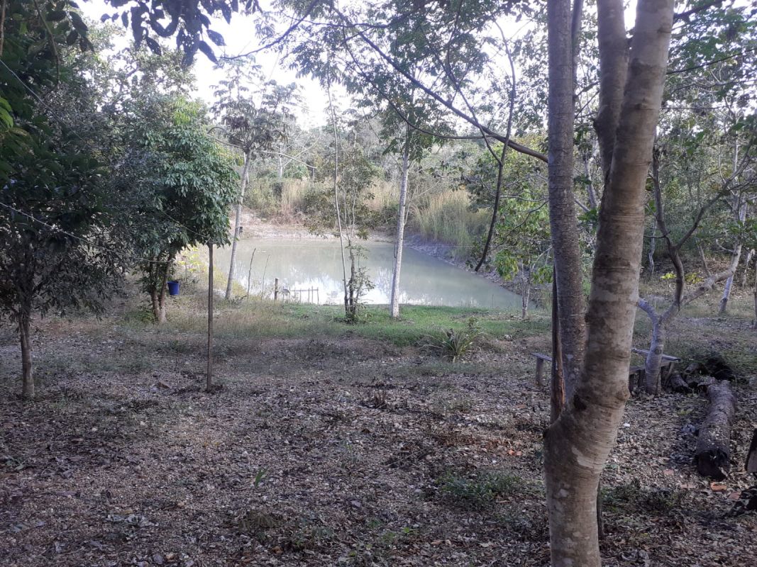 Sítio à venda - Foto 1