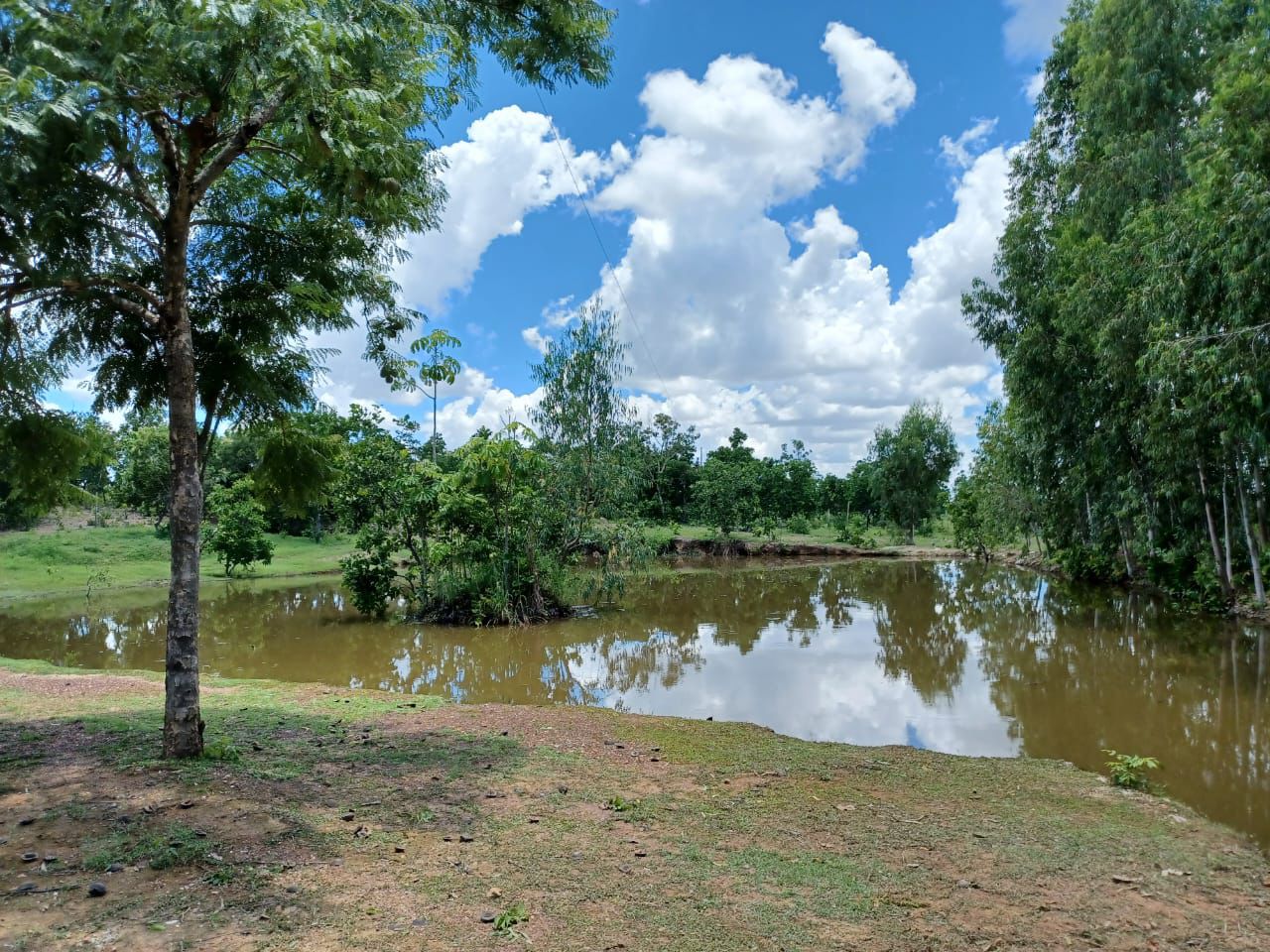 Chácara Sítio com 2 quartos em Cuiabá - MT