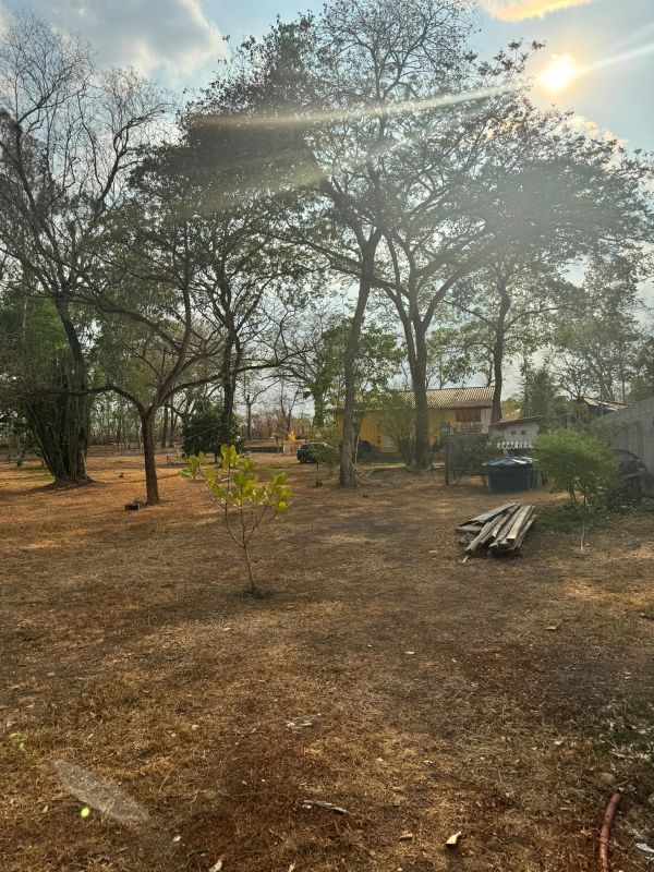 Chácara à venda com 2 quartos, 11000m² - Foto 8