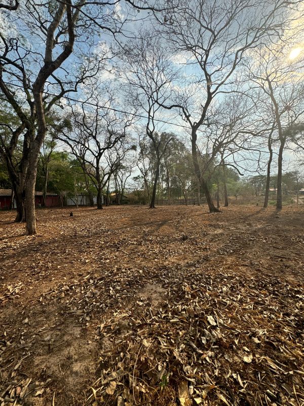 Chácara à venda com 2 quartos, 11000m² - Foto 12