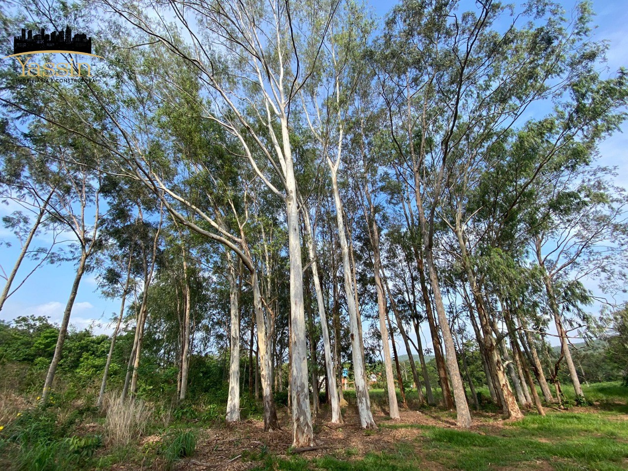 Chácara à venda com 4 quartos, 250m² - Foto 4