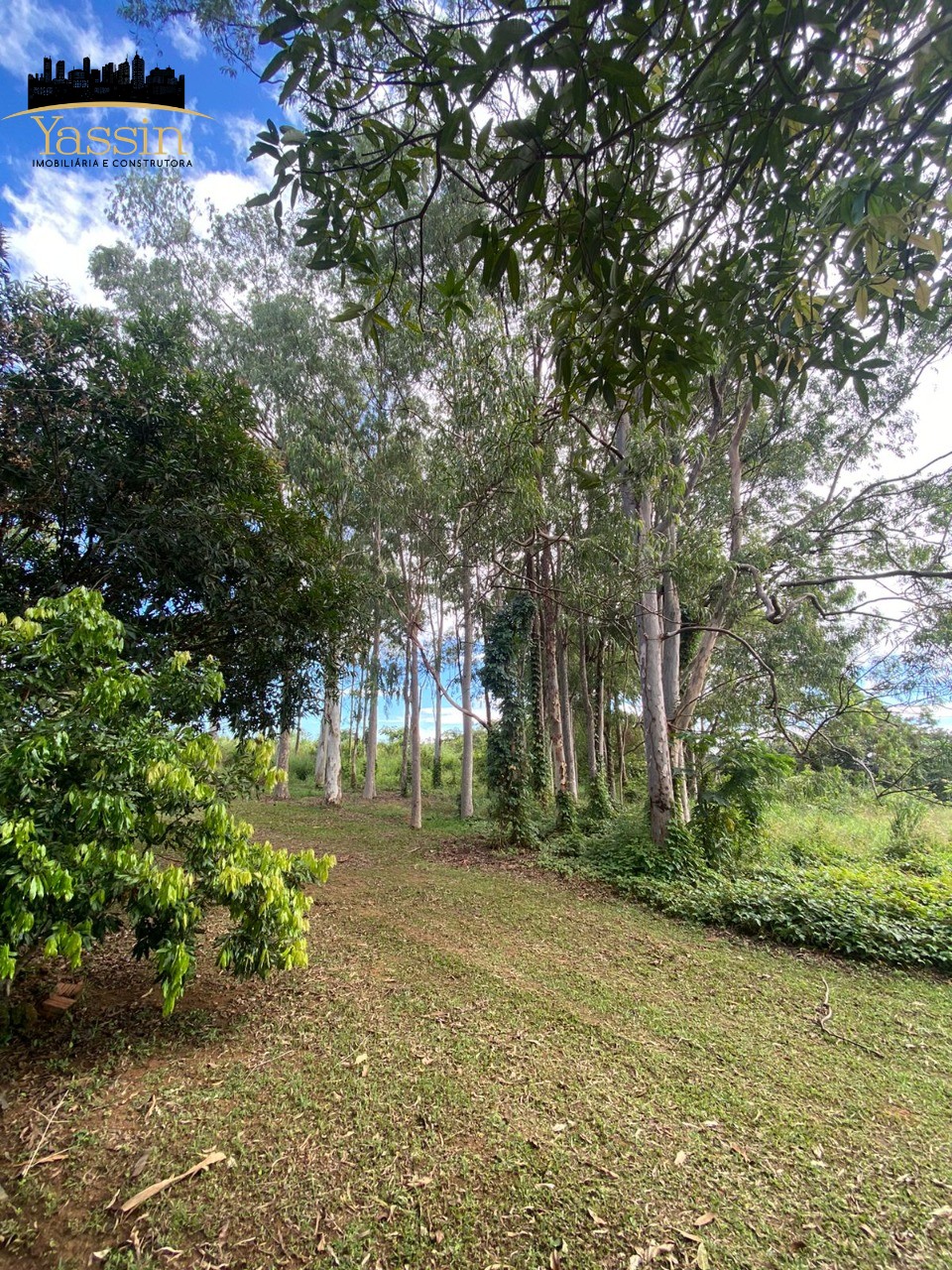 Chácara à venda com 4 quartos, 250m² - Foto 36