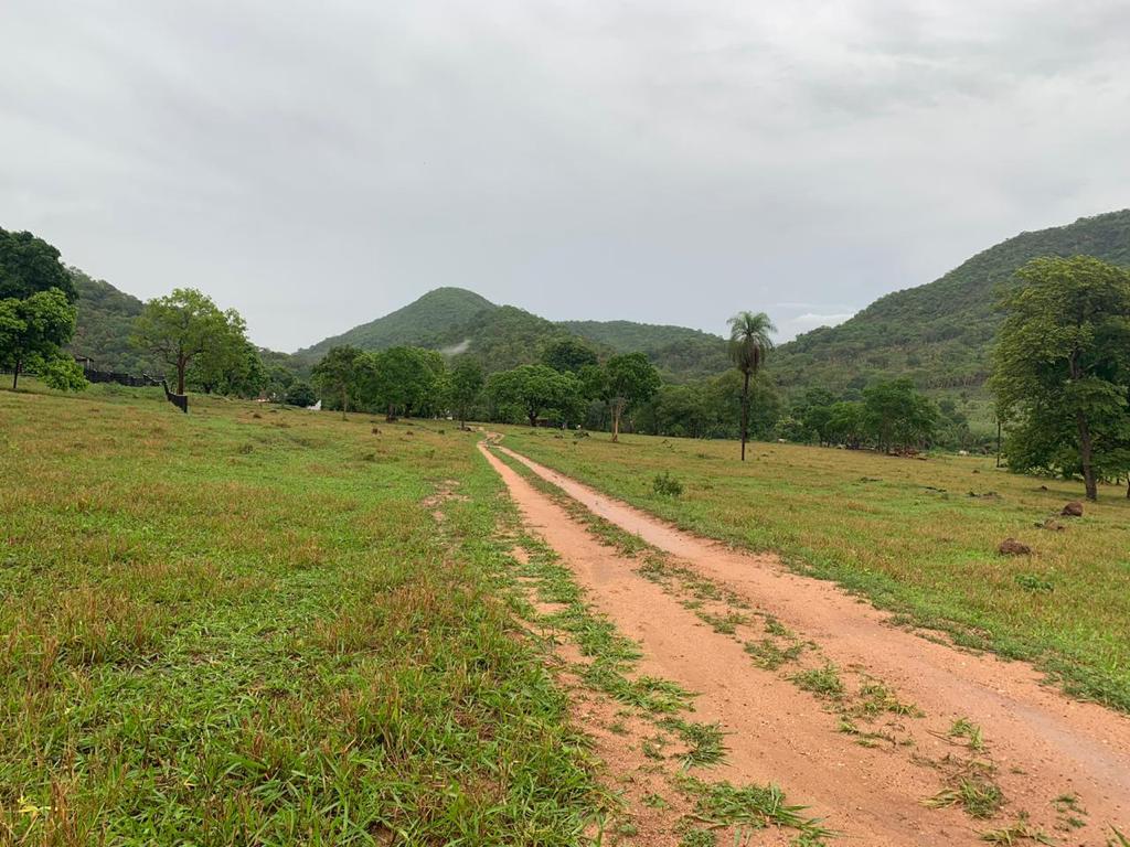 Fazenda à venda - Foto 19