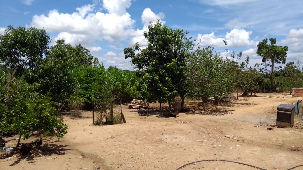 Chácara à venda com 4 quartos, 250m² - Foto 3