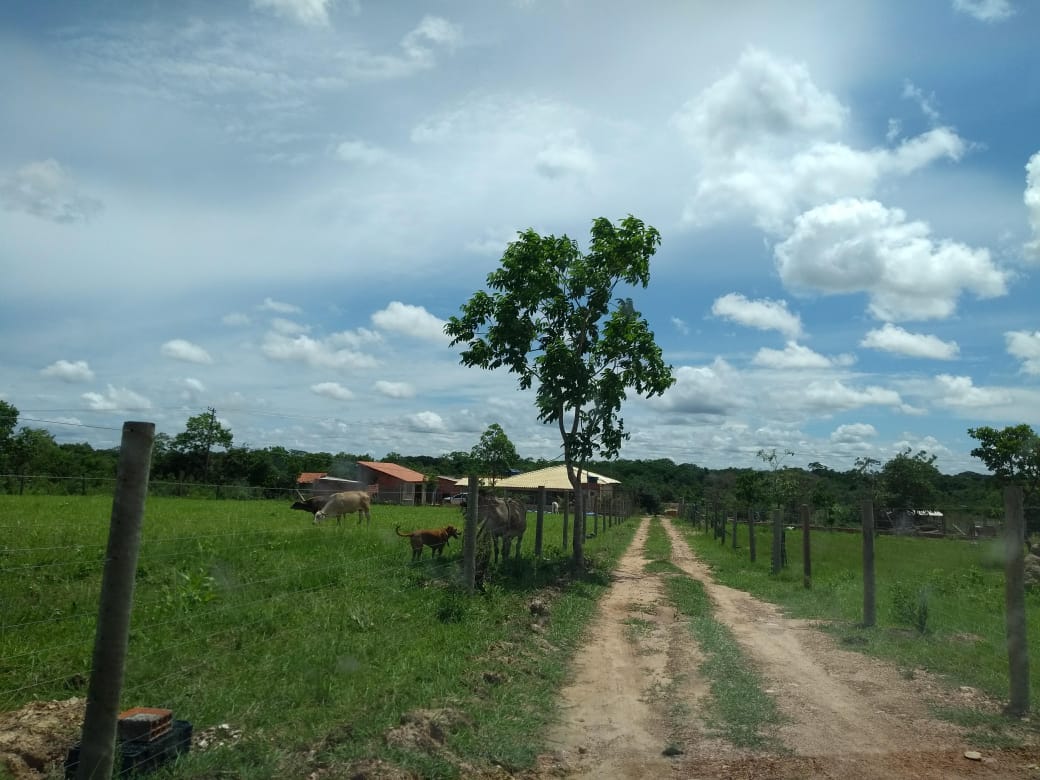 Chácara à venda com 4 quartos, 250m² - Foto 21