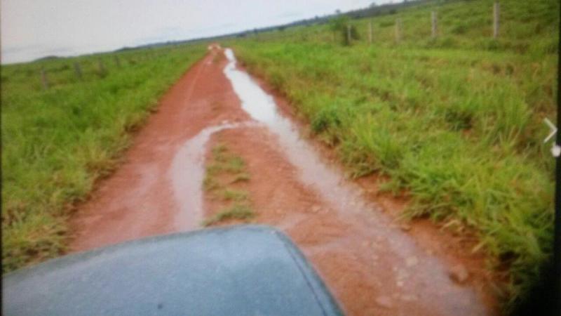 Fazenda à venda - Foto 2