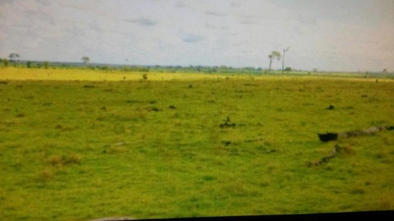 Fazenda à venda - Foto 1
