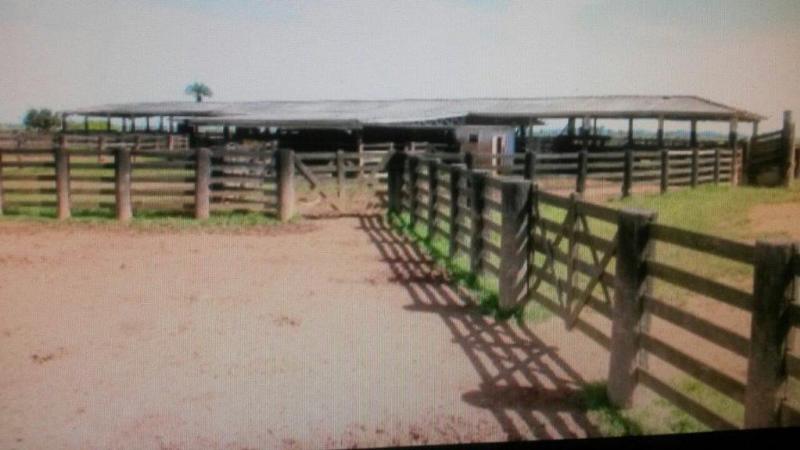 Fazenda à venda - Foto 5
