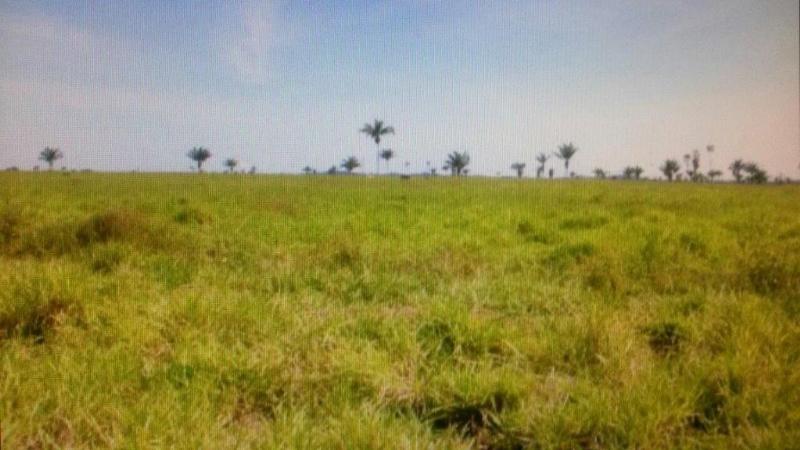 Fazenda à venda - Foto 14