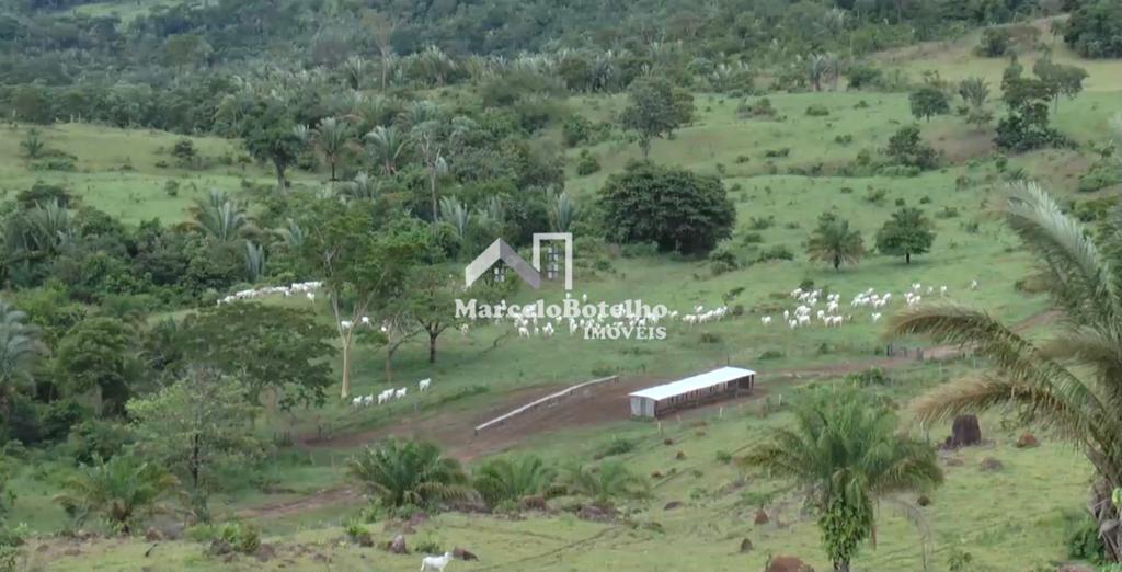 Fazenda à venda, 1000m² - Foto 8