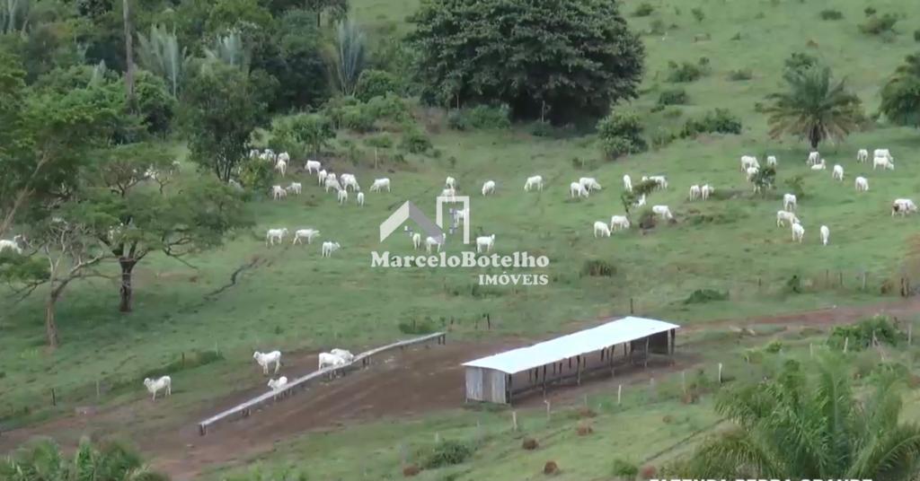 Fazenda à venda, 1000m² - Foto 17