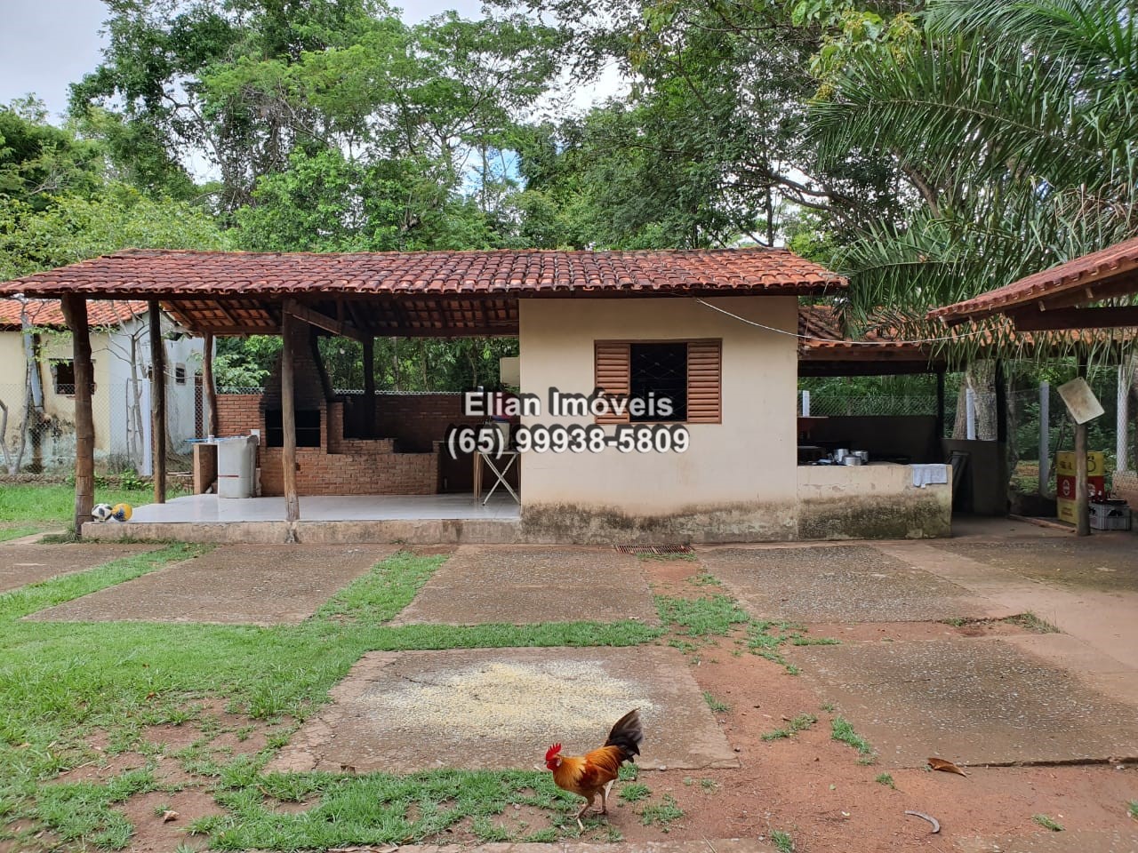 Chácara Sítio com 1 quarto no Centro , Cuiabá - MT