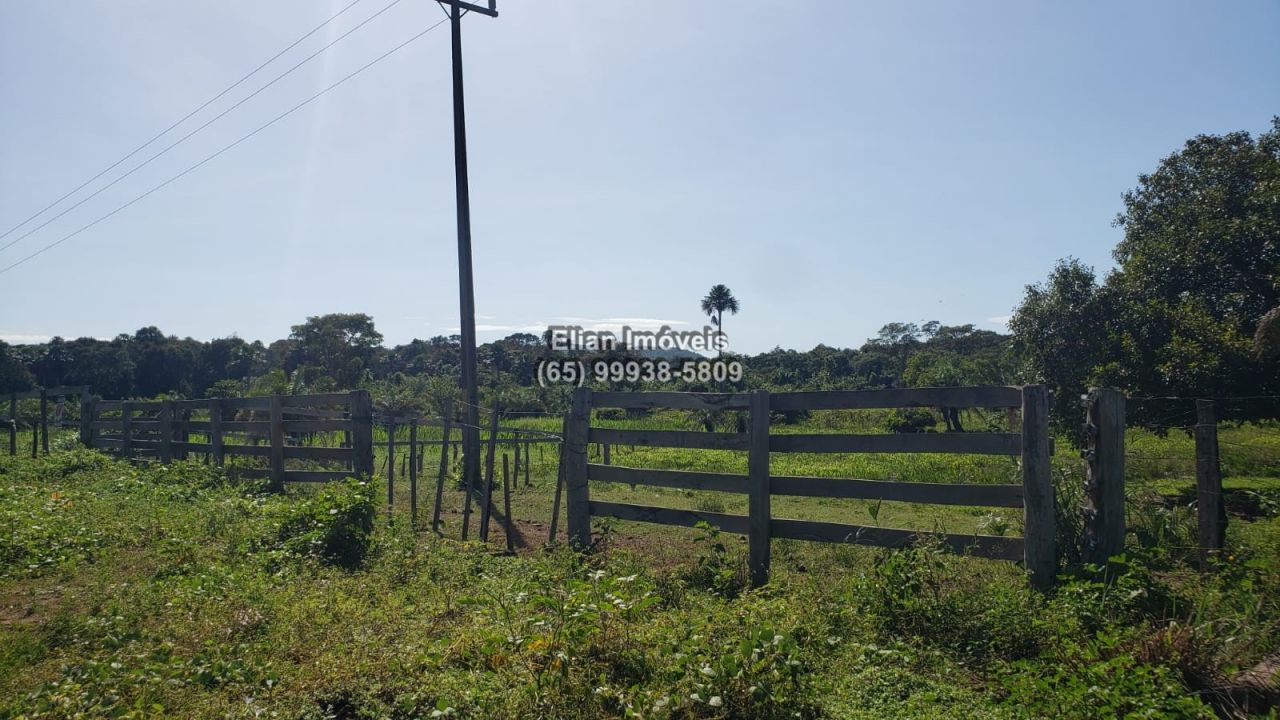 Fazenda com 1 quarto