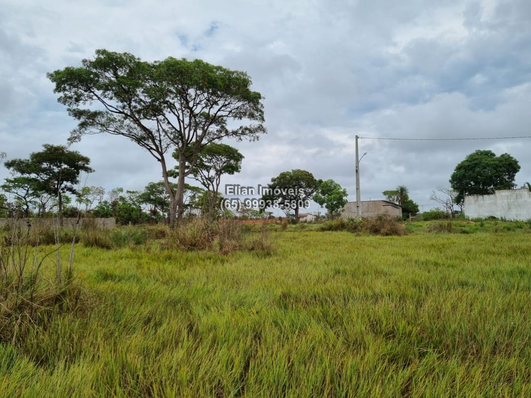 Terreno